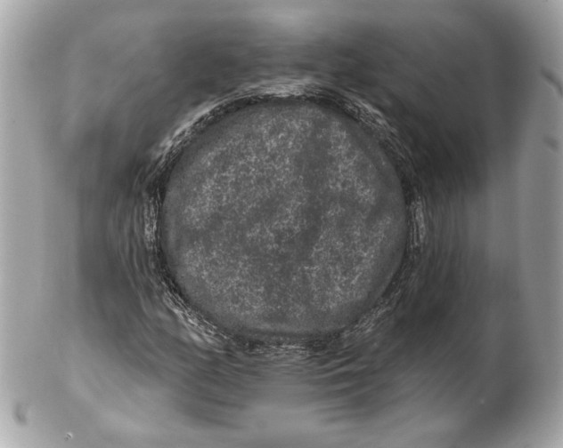 X0000102461158200808291536