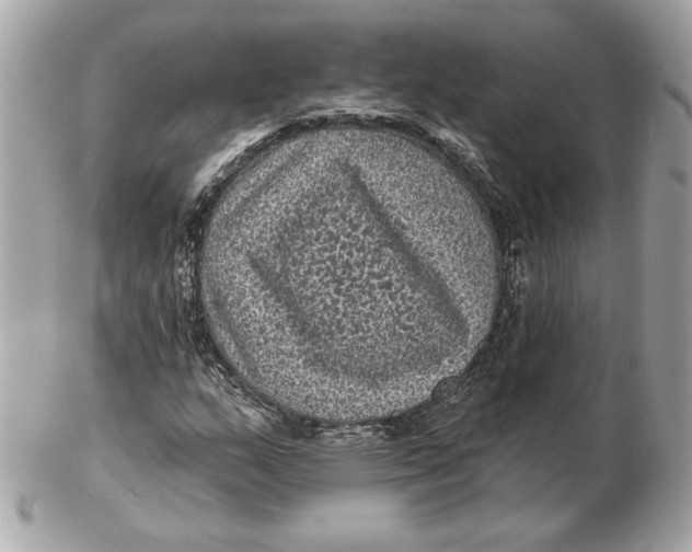 X0000102461159200808291536