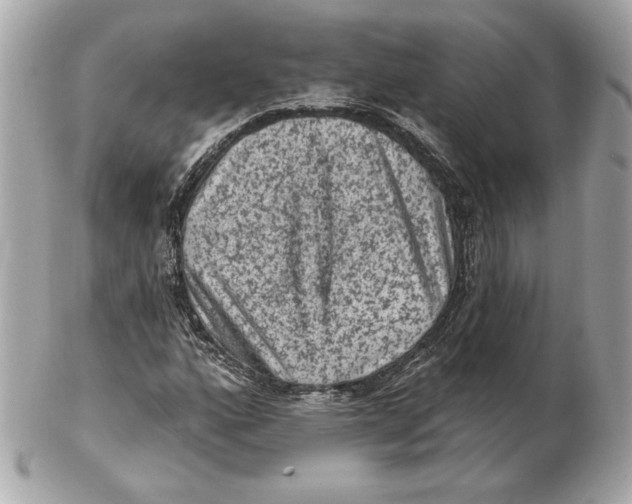 X0000102461160200808291536