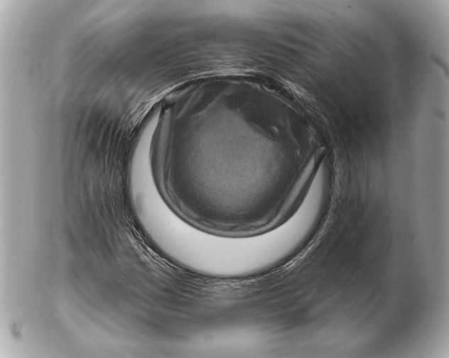 X0000102461161200808291536