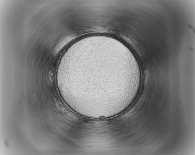 X0000102461163200808291536