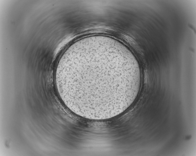 X0000102461164200808291536