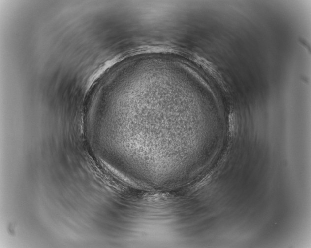 X0000102461165200808291536