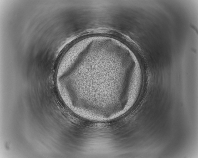 X0000102461166200808291536