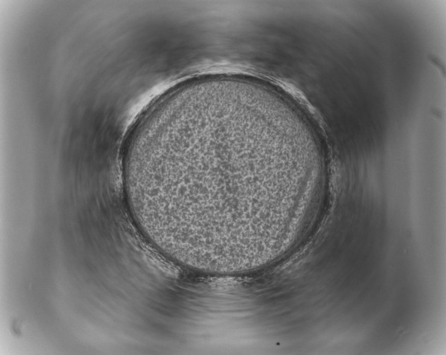 X0000102461167200808291536