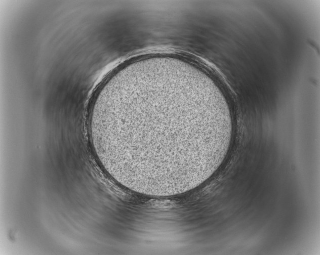 X0000102461168200808291536