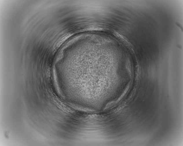 X0000102461169200808291536