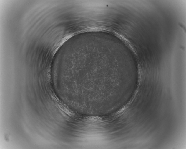 X0000102461170200808291536