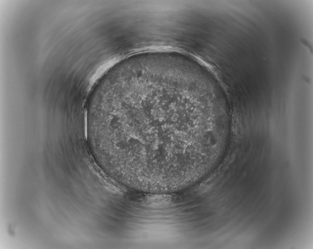 X0000102461171200808291536