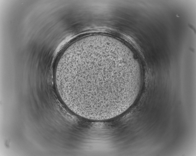 X0000102461172200808291536