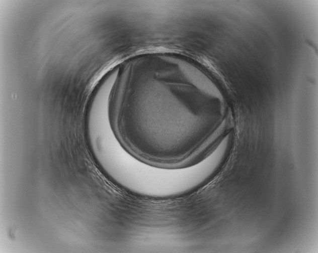 X0000102461173200808291536