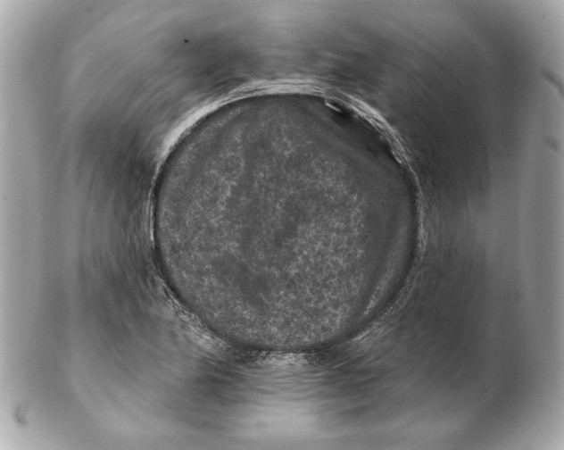 X0000102461174200808291536