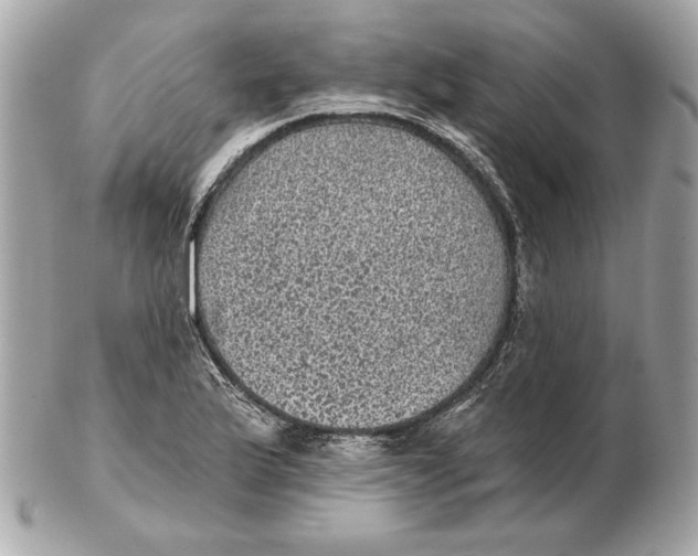 X0000102461175200808291536