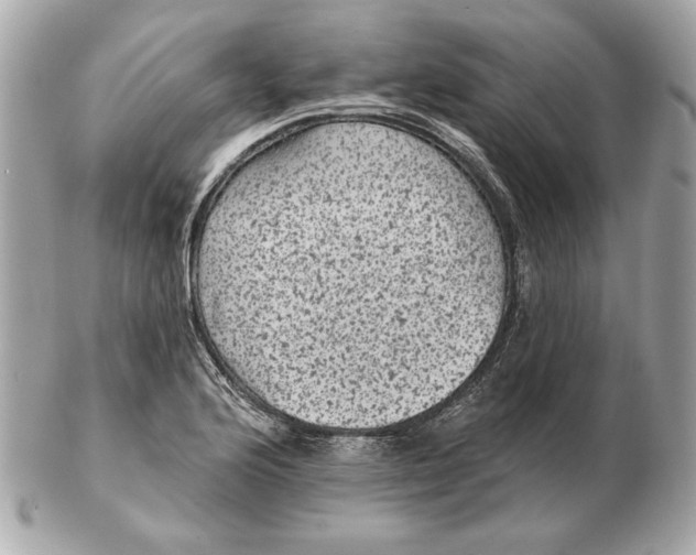 X0000102461176200808291536