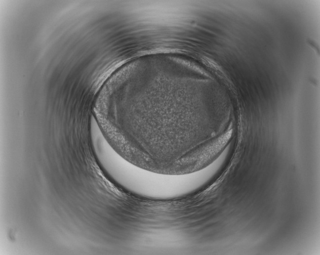 X0000102461177200808291536