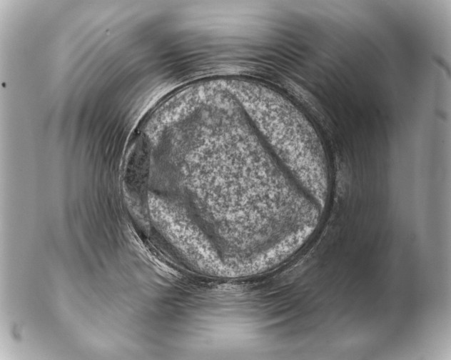 X0000102461178200808291536