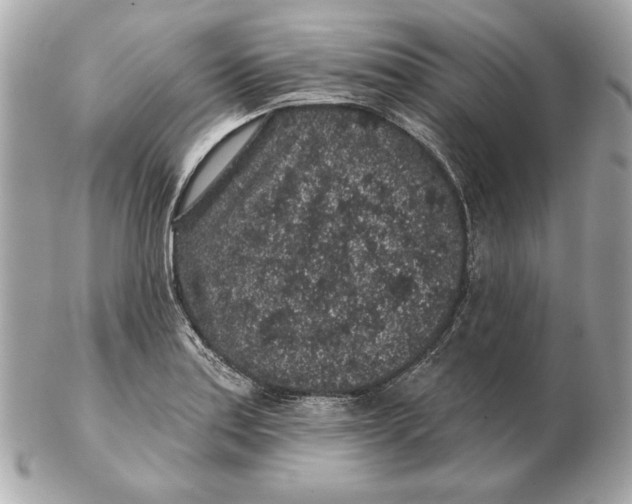 X0000102461179200808291536