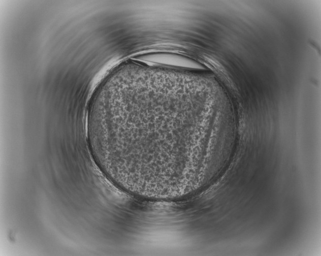 X0000102461180200808291536