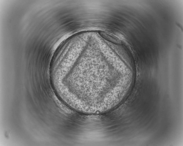 X0000102461181200808291535