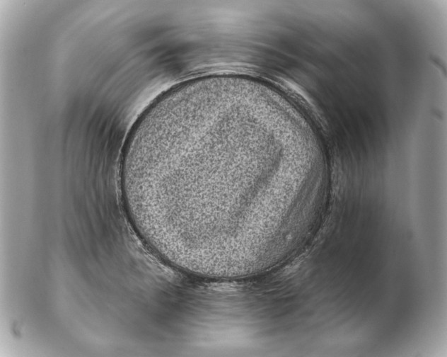 X0000102461182200808291535