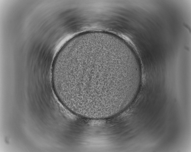 X0000102461183200808291535