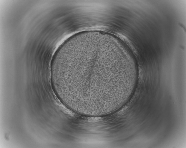 X0000102461184200808291535