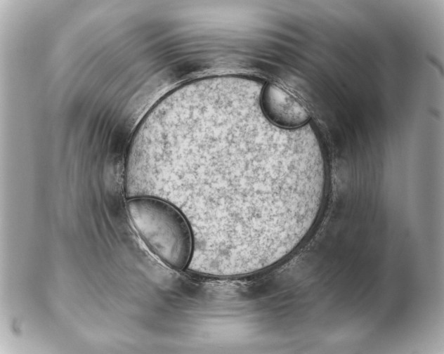 X0000102461185200808291535