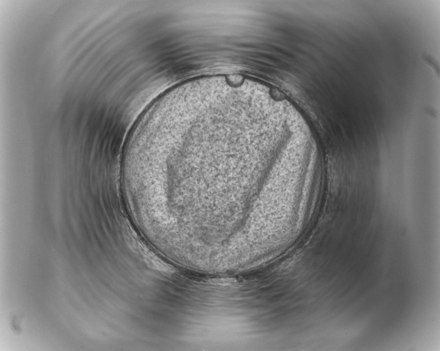 X0000102461186200808291535