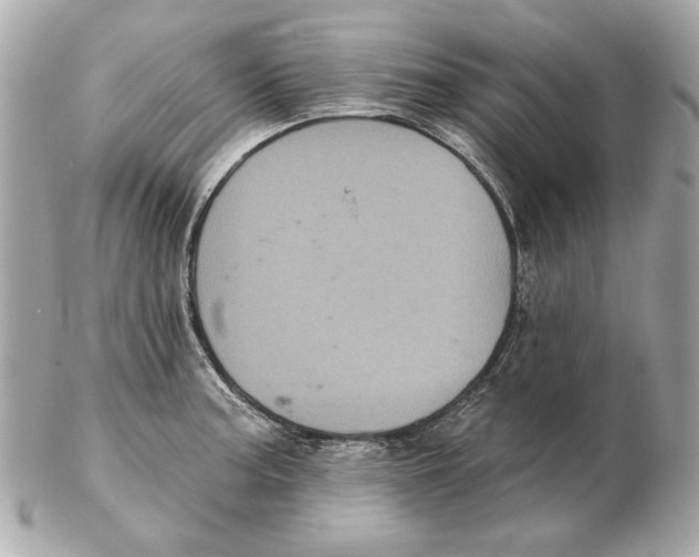 X0000102461187200808291535