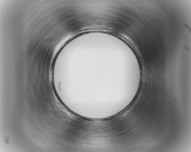 X0000102461188200808291535