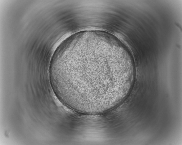 X0000102461189200808291535