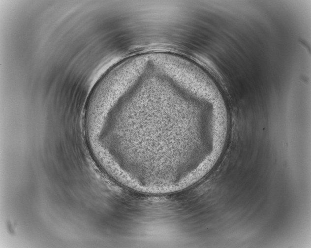 X0000102461190200808291535