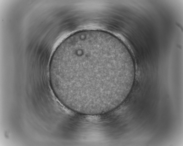 X0000102461191200808291535