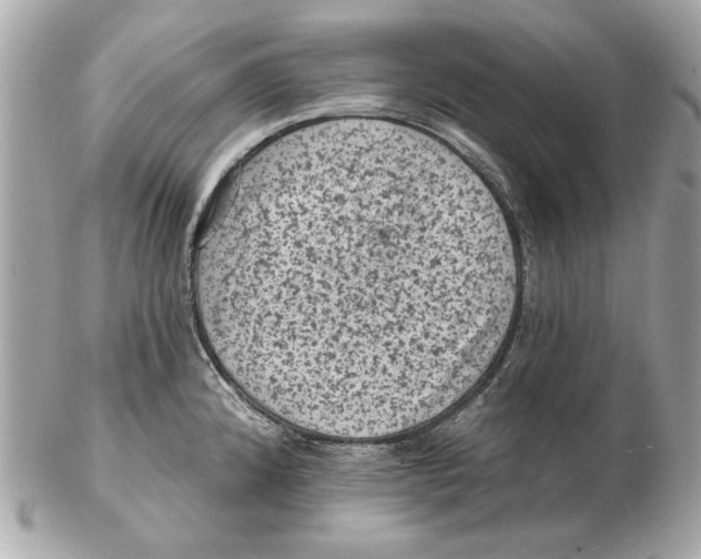 X0000102461192200808291535