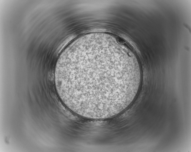 X0000102461193200808291535