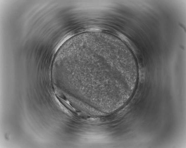 X0000102461194200808291535