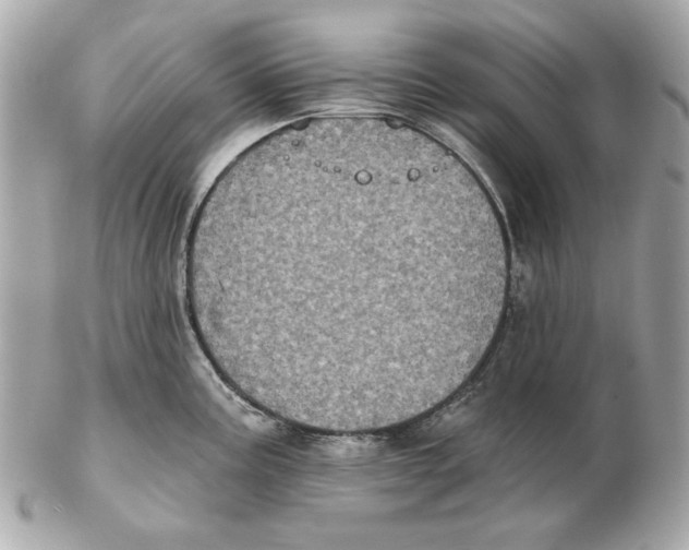 X0000102461195200808291535