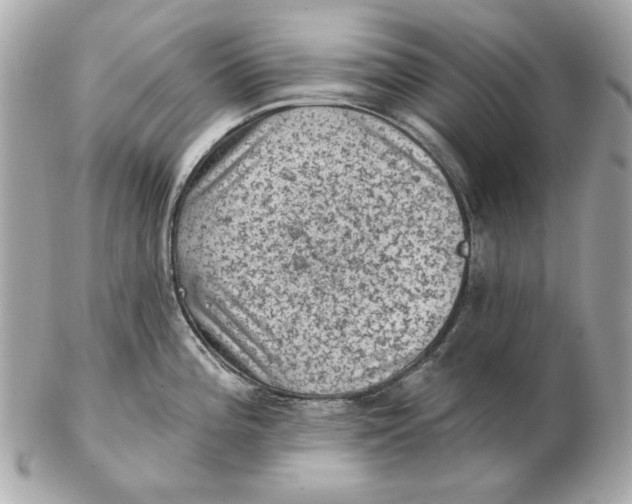 X0000102461196200808291535