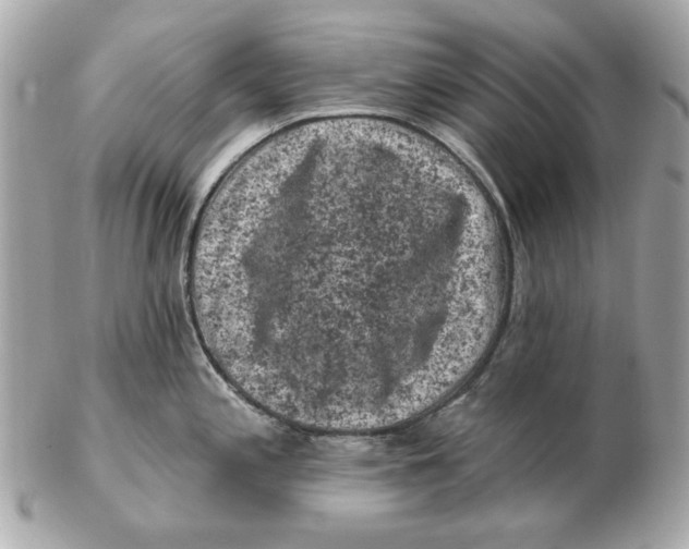 X0000102461197200808291535