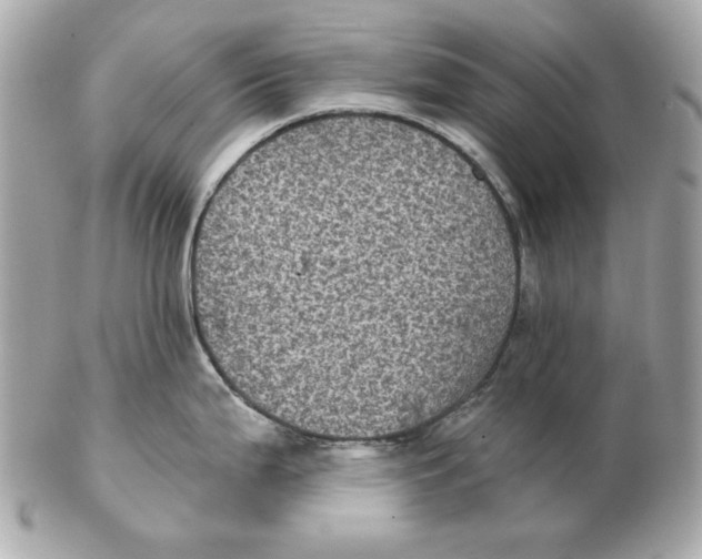 X0000102461199200808291535