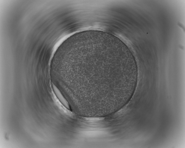 X0000102461200200808291535