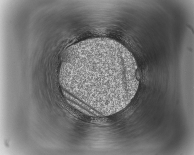 X0000102461201200808291535