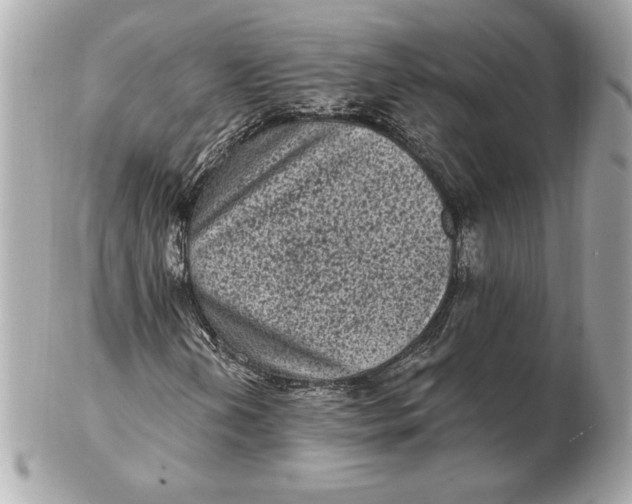 X0000102461202200808291535