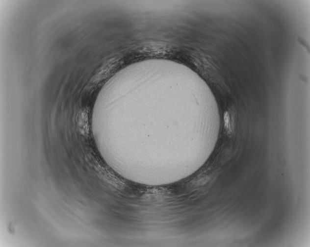 X0000102461203200808291535