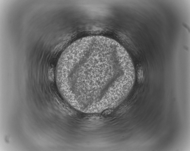 X0000102461204200808291535