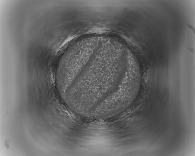 X0000102461206200808291535