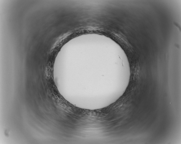 X0000102461207200808291535