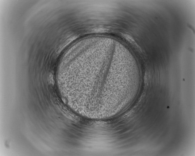 X0000102461209200808291535