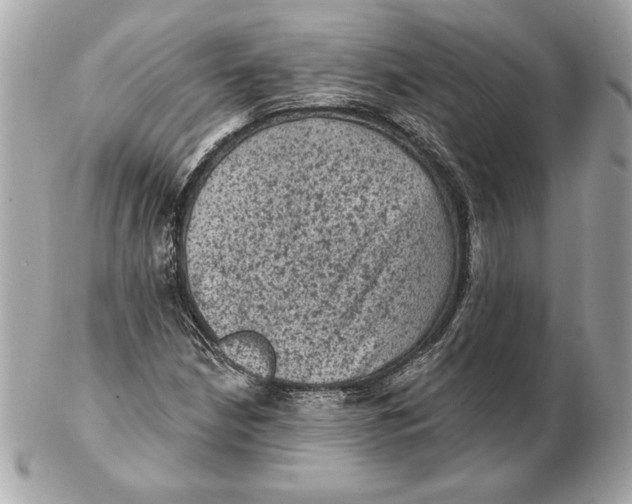 X0000102461210200808291535