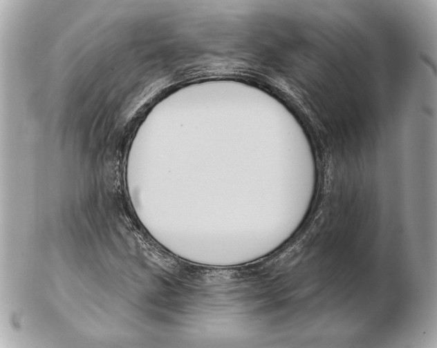 X0000102461211200808291535